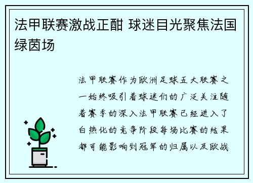 法甲联赛激战正酣 球迷目光聚焦法国绿茵场
